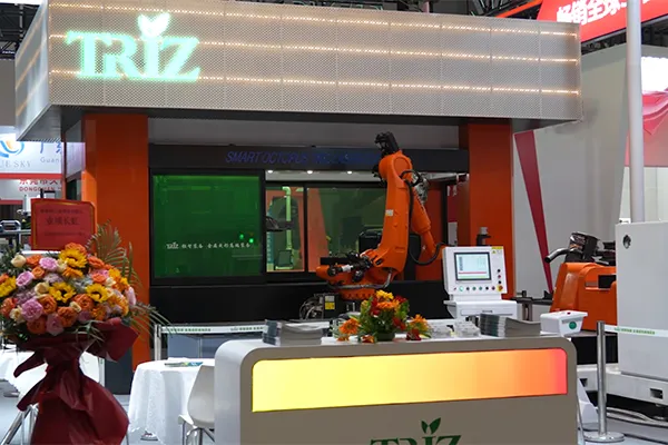 16축 이중 스테이션 3D 레이저 절단기